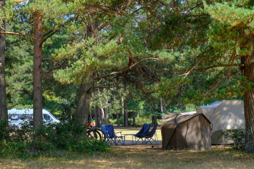 Top Campsites in Christchurch
