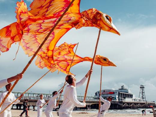 September in Dorset: 7 Brilliant Things to See, Do and Enjoy