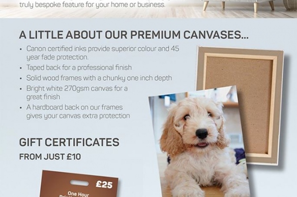 The Canvas Printing Company - Poole
