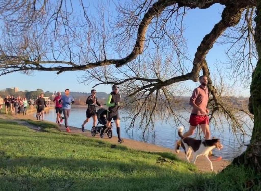 Top 5 Parkruns in Bournemouth & Poole