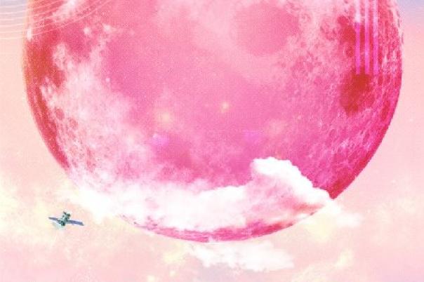 Big Nights & Bold Performances: What’s On at the Regent This October