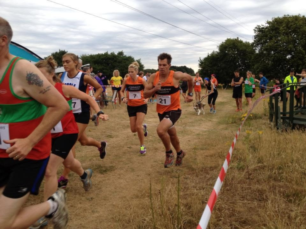 Littledown Harriers