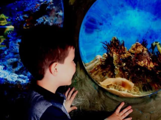 Weymouth SEA LIFE Adventure Park: Complete Visitor Guide
