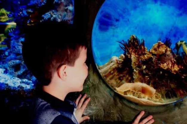 Weymouth SEA LIFE Adventure Park: Complete Visitor Guide