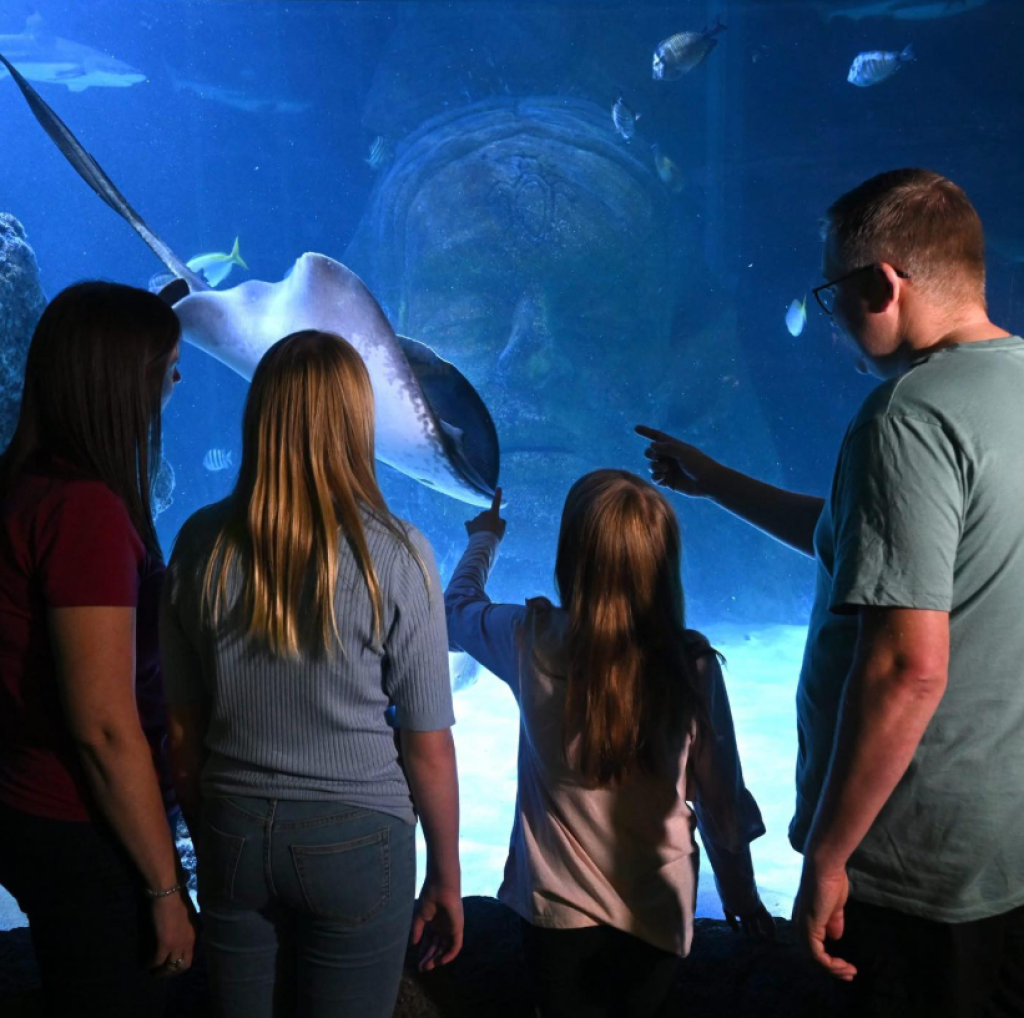 Weymouth SEA LIFE Adventure Park: Complete Visitor Guide