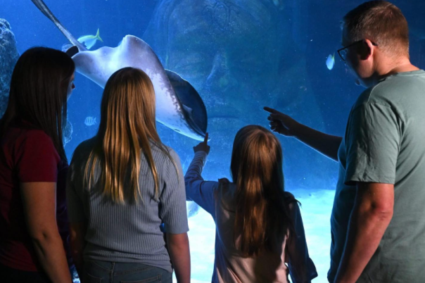 Weymouth SEA LIFE Adventure Park: Complete Visitor Guide