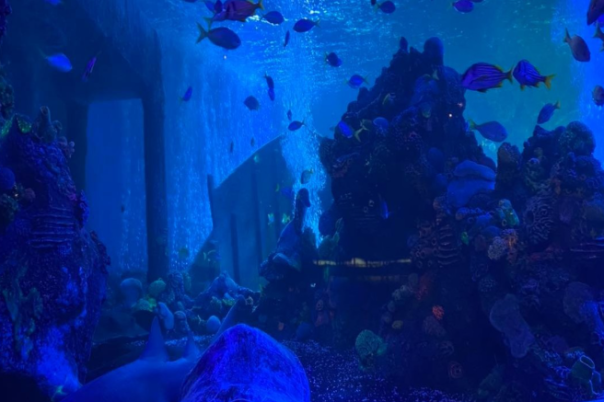 Weymouth SEA LIFE Adventure Park: Complete Visitor Guide