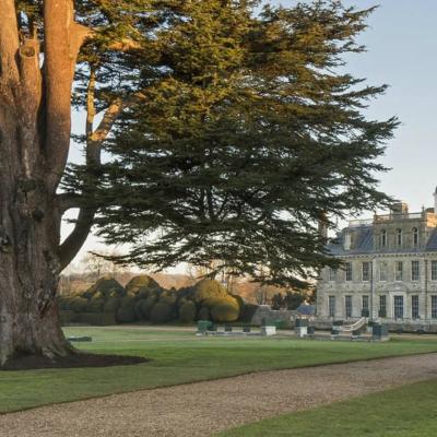A Day at Kingston Lacy - One of Dorset's Grandest Historic Houses and Gardens