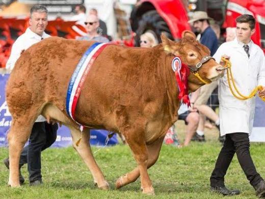 Dorset County Show | 5 - 6 September 2026