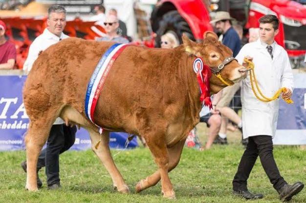 Dorset County Show | 5 - 6 September 2026