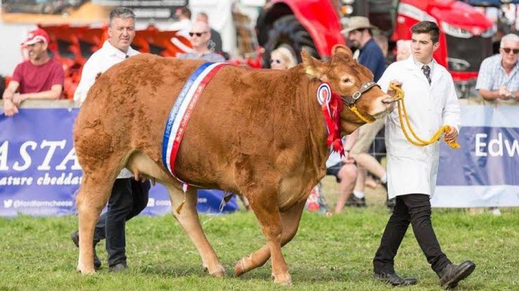 Dorset County Show | 5 - 6 September 2026