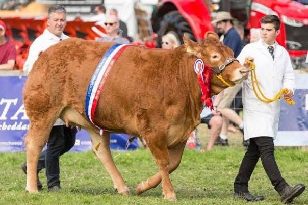 Dorset County Show | 5 - 6 September 2026