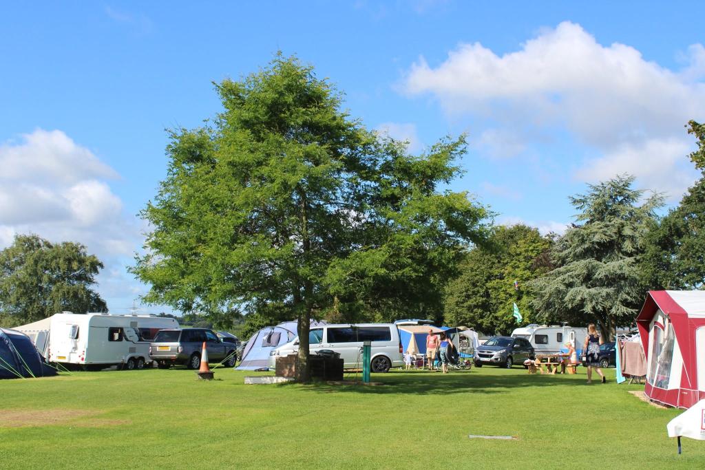The Top Campsites Near Bournemouth