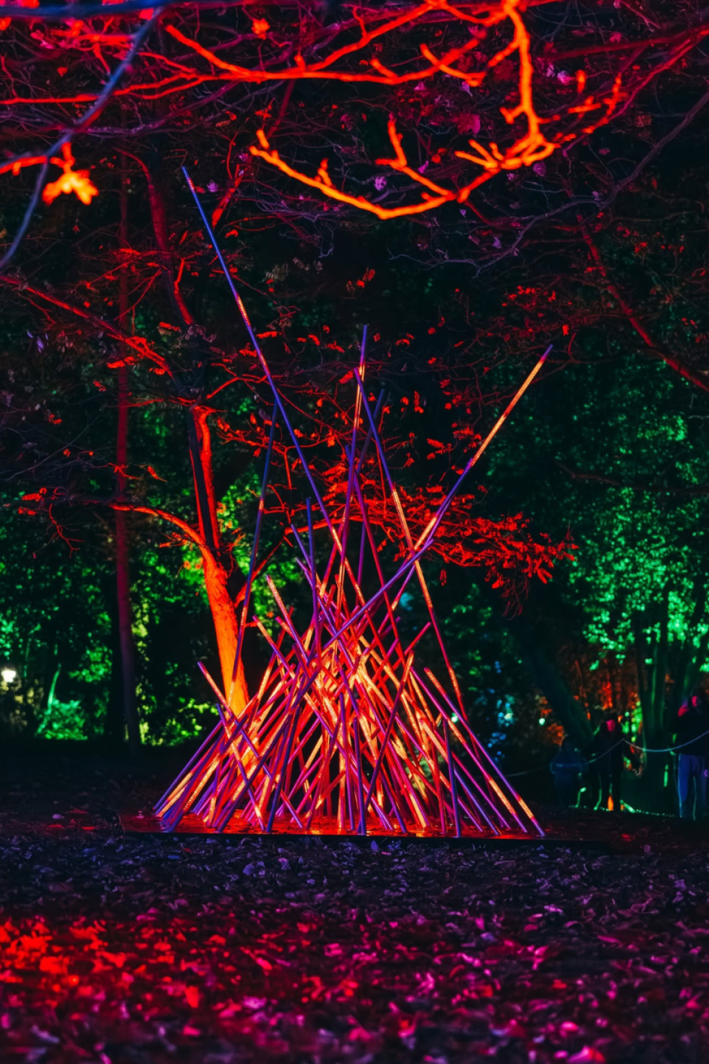 Illuminate Poole: A New Winter Light Trail Is Coming to Upton Country Park