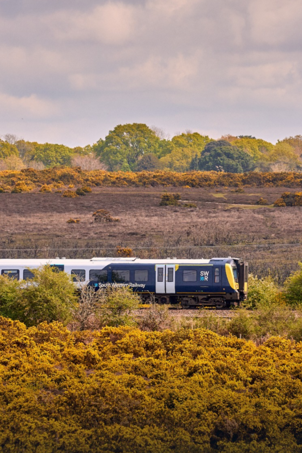 Getting Around Bournemouth: Trains, Buses and Living Without a Car