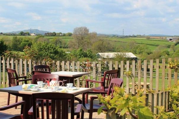 5 Best Farm Shop Cafes to Visit in Dorset