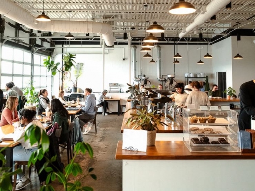 FARM SHOP CAFES to Visit in Dorset