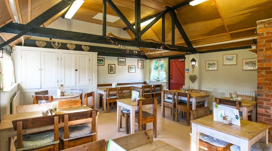 FARM SHOP CAFES to Visit in Dorset