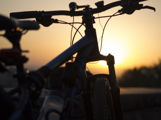 Picture Perfect Bike Rides in Dorset
