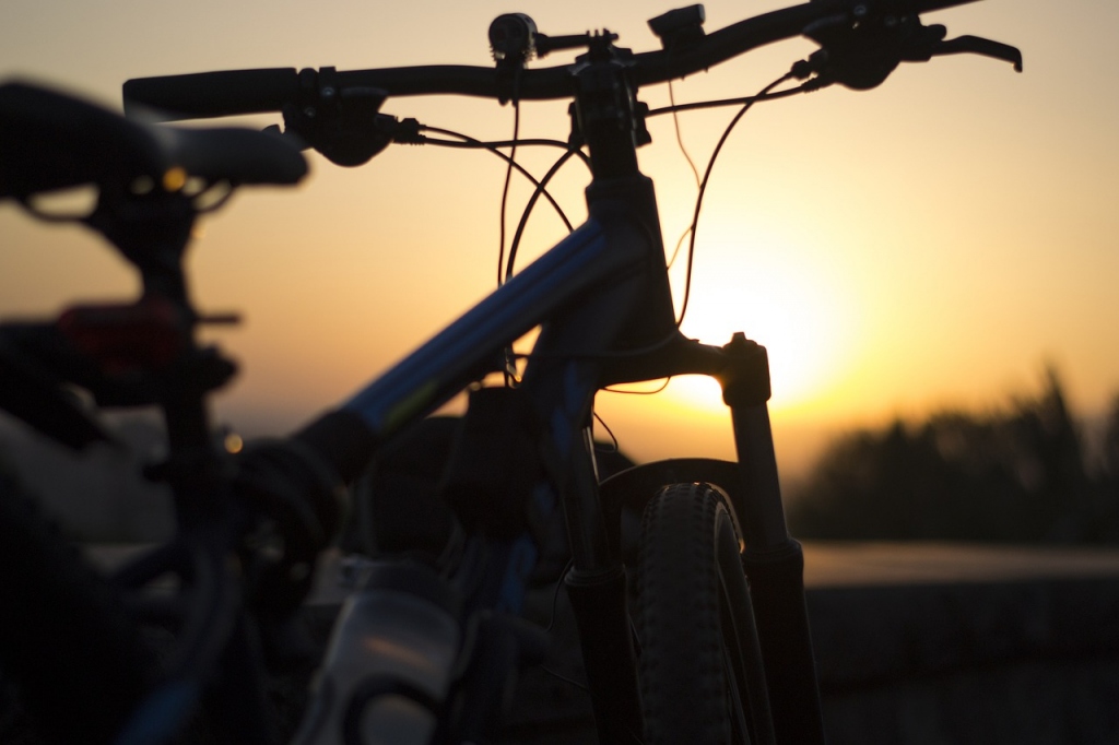 Picture Perfect Bike Rides in Dorset
