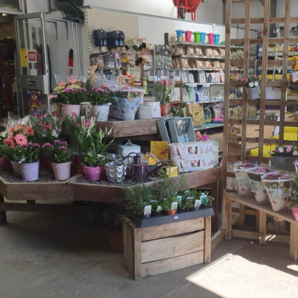 5 Farm Shops Near Poole Worth the Drive