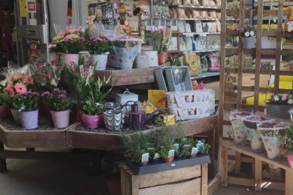 5 Farm Shops Near Poole Worth the Drive