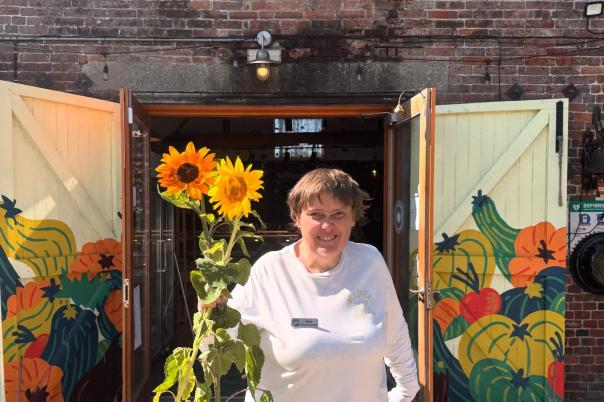 5 Farm Shops Near Poole Worth the Drive