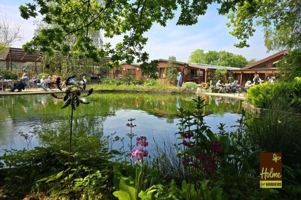 5 Farm Shops Near Poole Worth the Drive