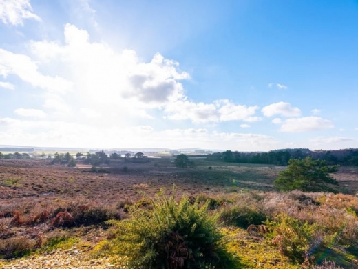 Top NATURE RESERVES in Dorset