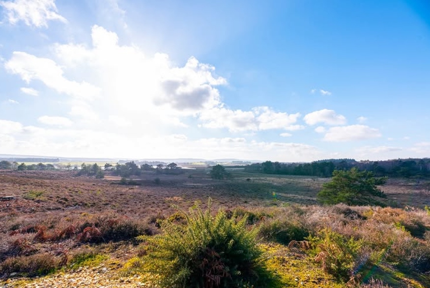 Top NATURE RESERVES in Dorset