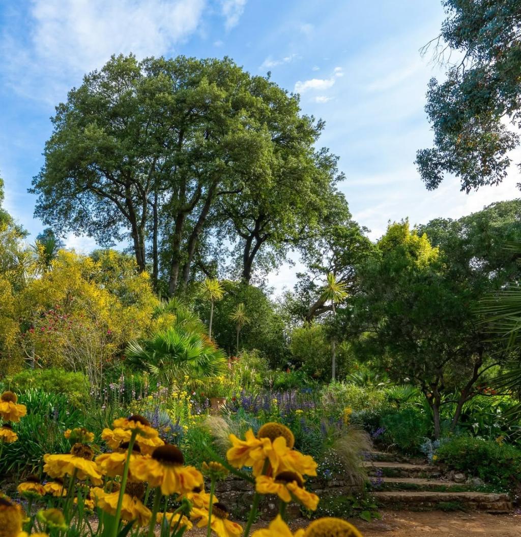 A Day at Abbotsbury Subtropical Gardens | One of Dorset’s Most Beautiful Gardens