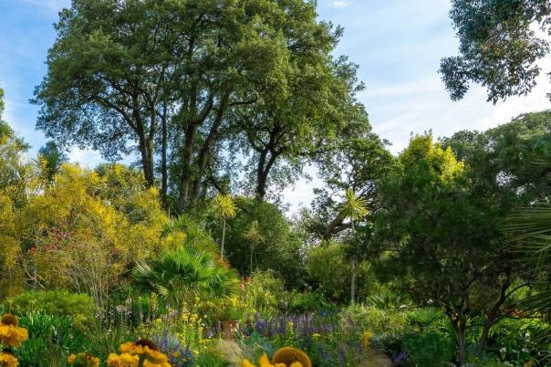 A Day at Abbotsbury Subtropical Gardens | One of Dorset’s Most Beautiful Gardens