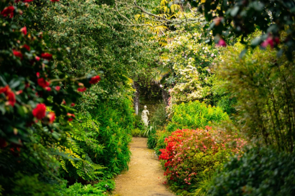 A Day at Abbotsbury Subtropical Gardens | One of Dorset’s Most Beautiful Gardens