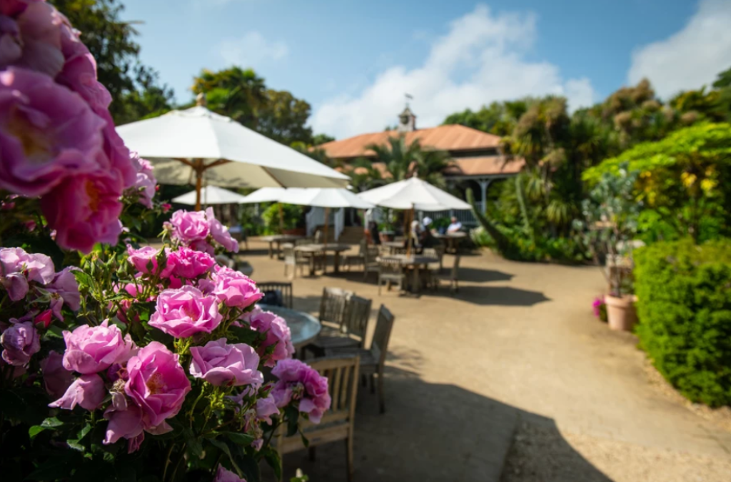 A Day at Abbotsbury Subtropical Gardens | One of Dorset’s Most Beautiful Gardens