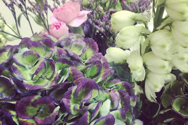 Roots Creative Floristry