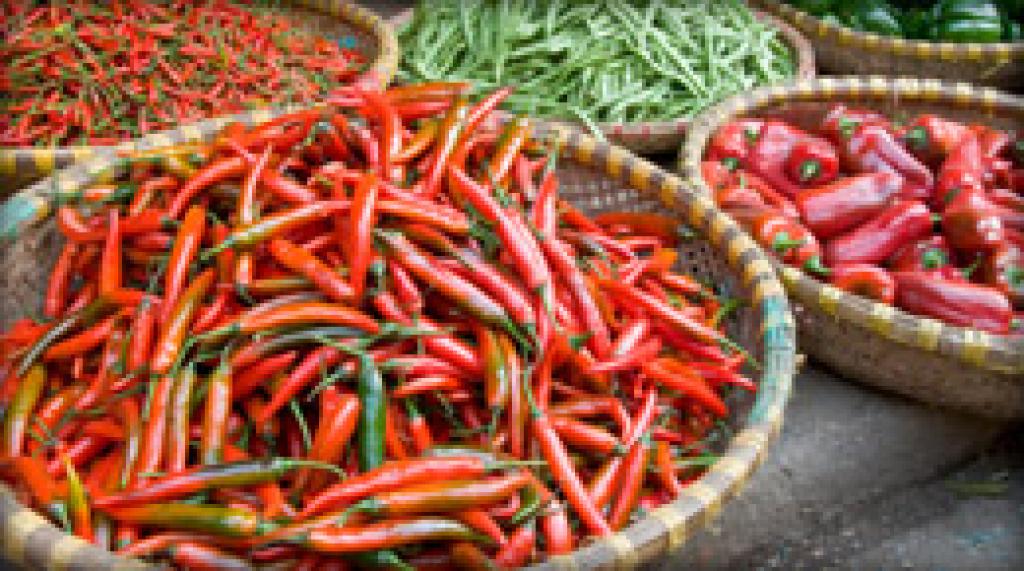 Great Dorset Chilli Festival | 1 August - 2 August 2026