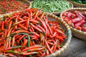 Great Dorset Chilli Festival | 1 August - 2 August 2026