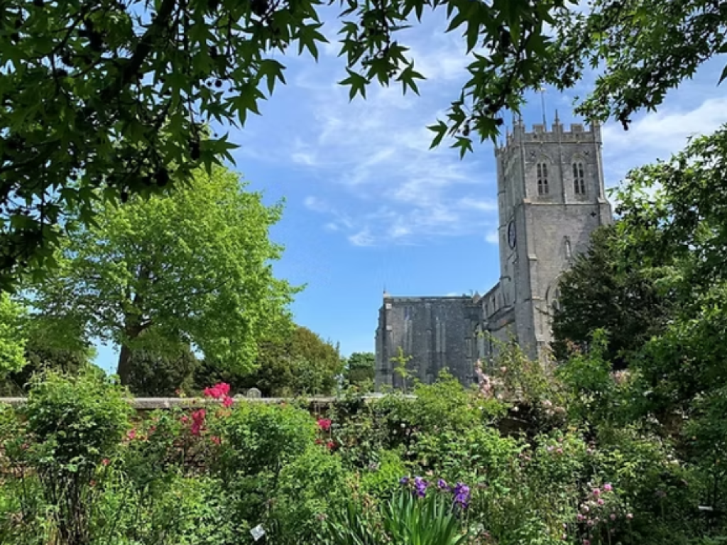 Five Free Days Out Around Christchurch