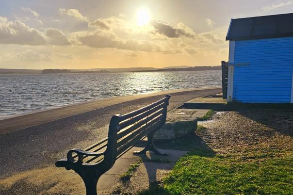 The Best Dog-Friendly Cafés, Pubs and Walks in Poole