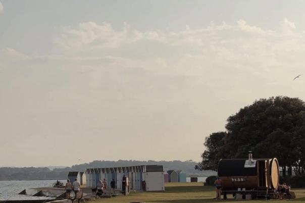 The Best Dog-Friendly Cafés, Pubs and Walks in Poole