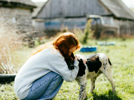 The Best Dog-Friendly Cafés, Pubs and Walks in Poole
