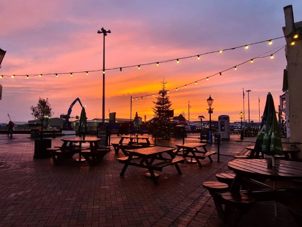 The Best Dog-Friendly Cafés, Pubs and Walks in Poole