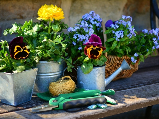 Find Local: Gardeners and Garden Maintenance in Southbourne