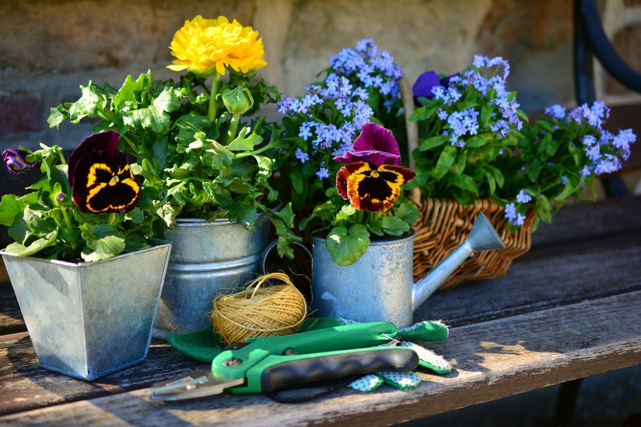 Find Local: Gardeners and Garden Maintenance in Southbourne