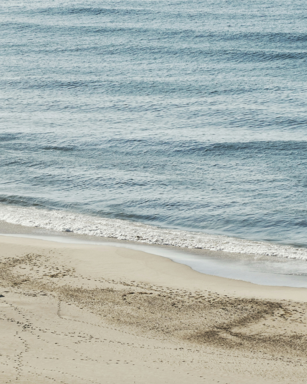 Independent Shopping in Southbourne: Shops on Southbourne Grove