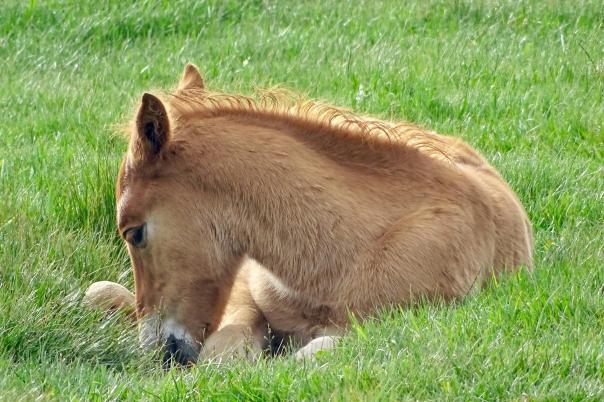 Christchurch Nature Reserve - Walking & Wildlife in Christchurch