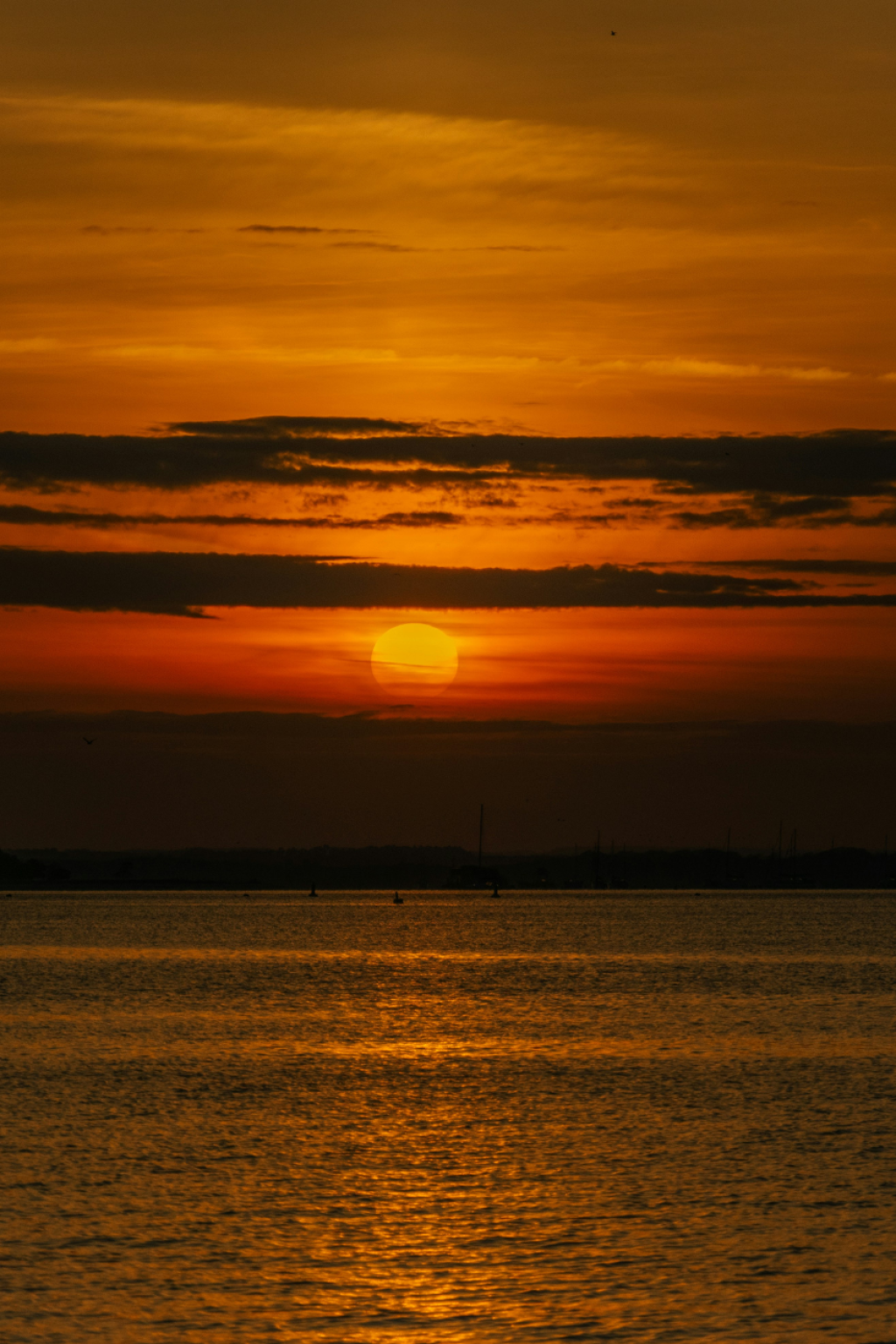 Best Areas to Live in Poole: Coast, Town Centre and Suburbs