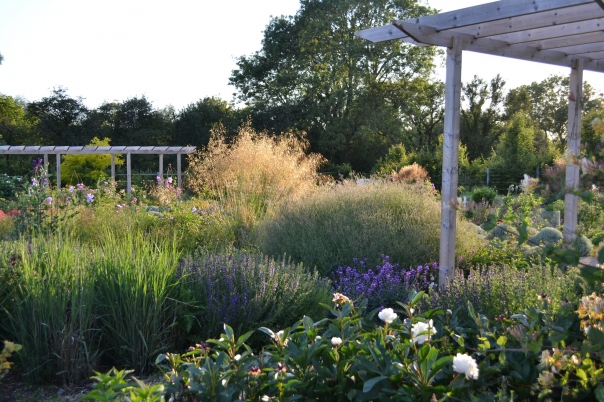 Fabulous Things to Do in Dorset in the Winter