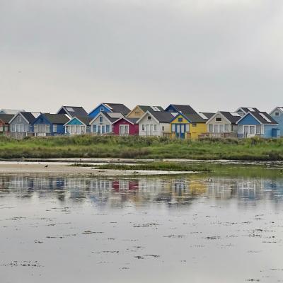 Moving to Christchurch: A Guide to the Best Areas and What to Expect