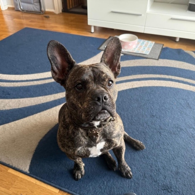 Every Paws Matters Bournemouth